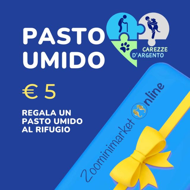 Pasto umido